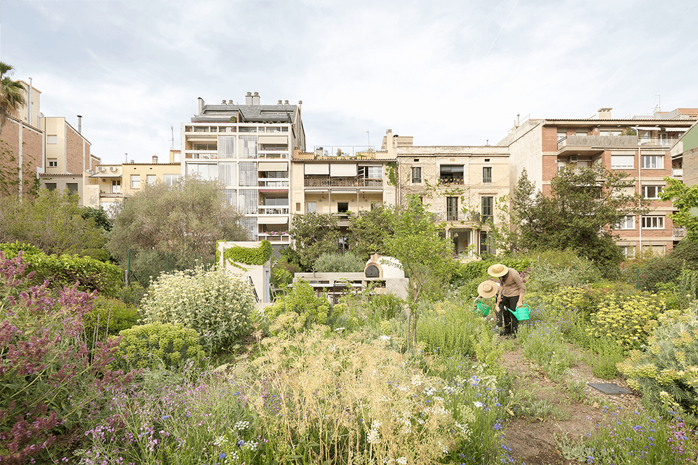 Healthy lush garden in Barcelona