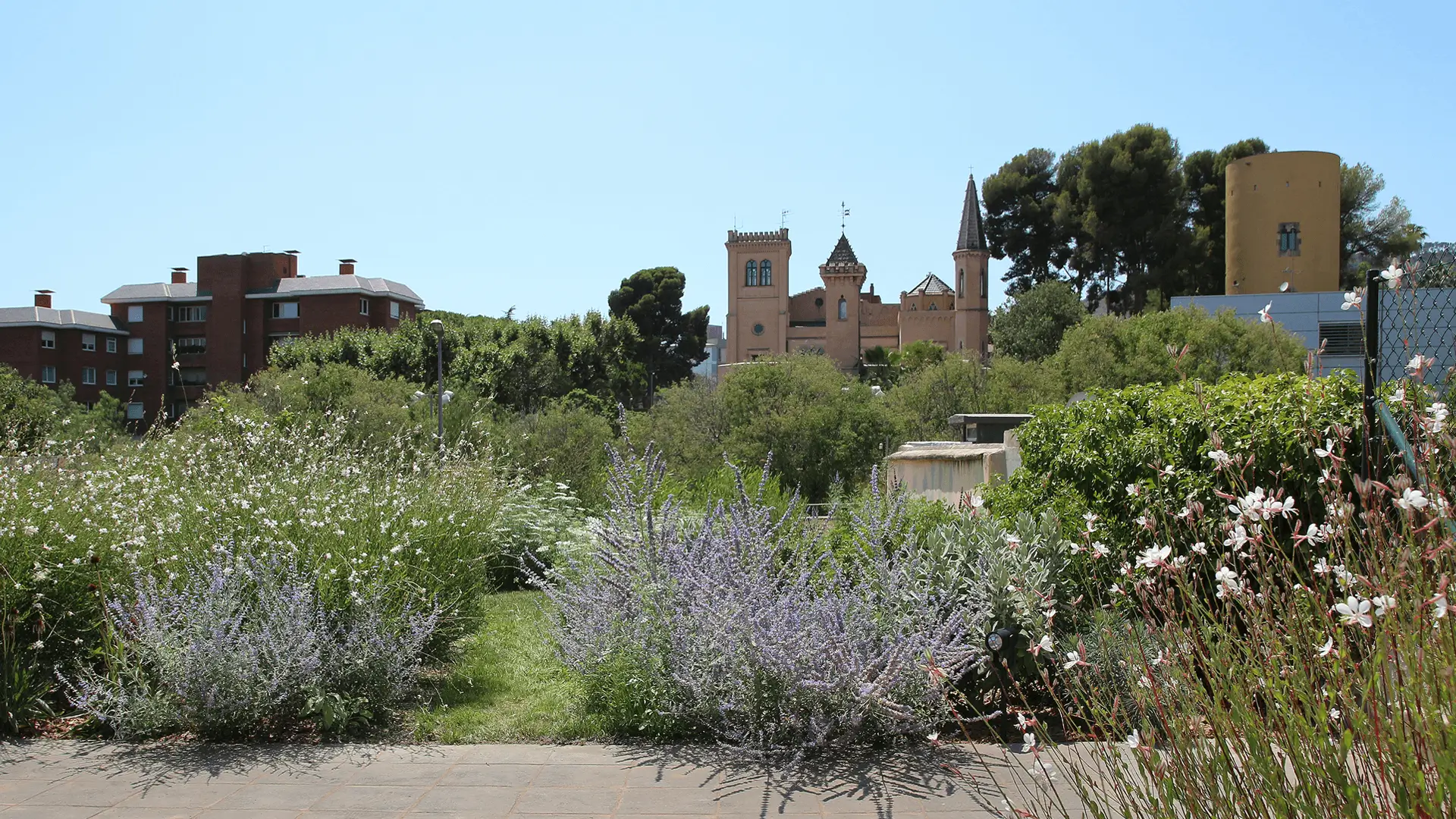 Lush landscape of countryside feel in city
