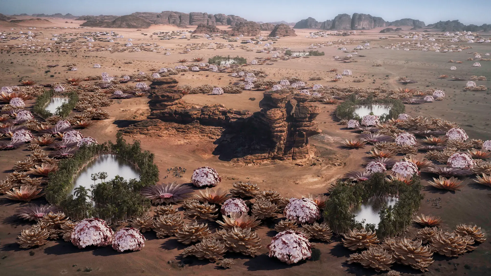 Flowers Purification Air Installation_1