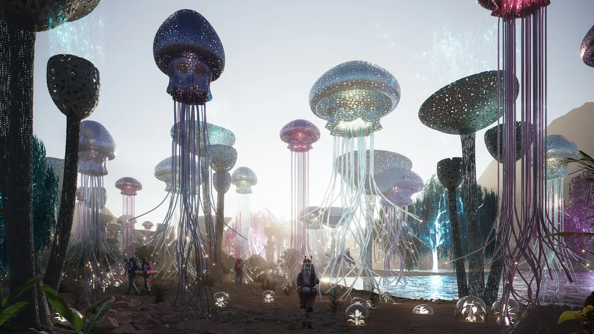 Jellyfish Purification Air Installation_sunset